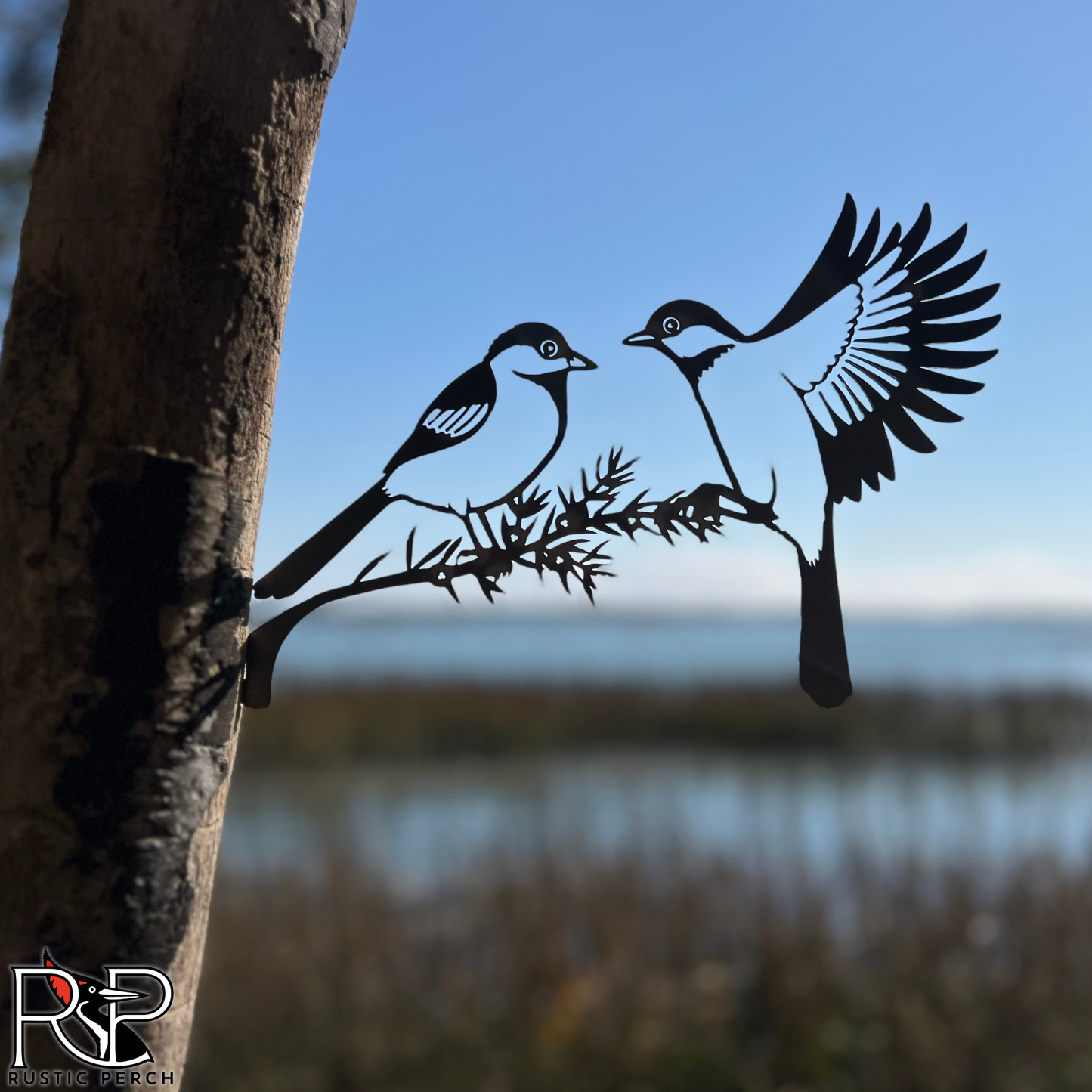 BLACK-CAPPED CHICKADEE PAIR