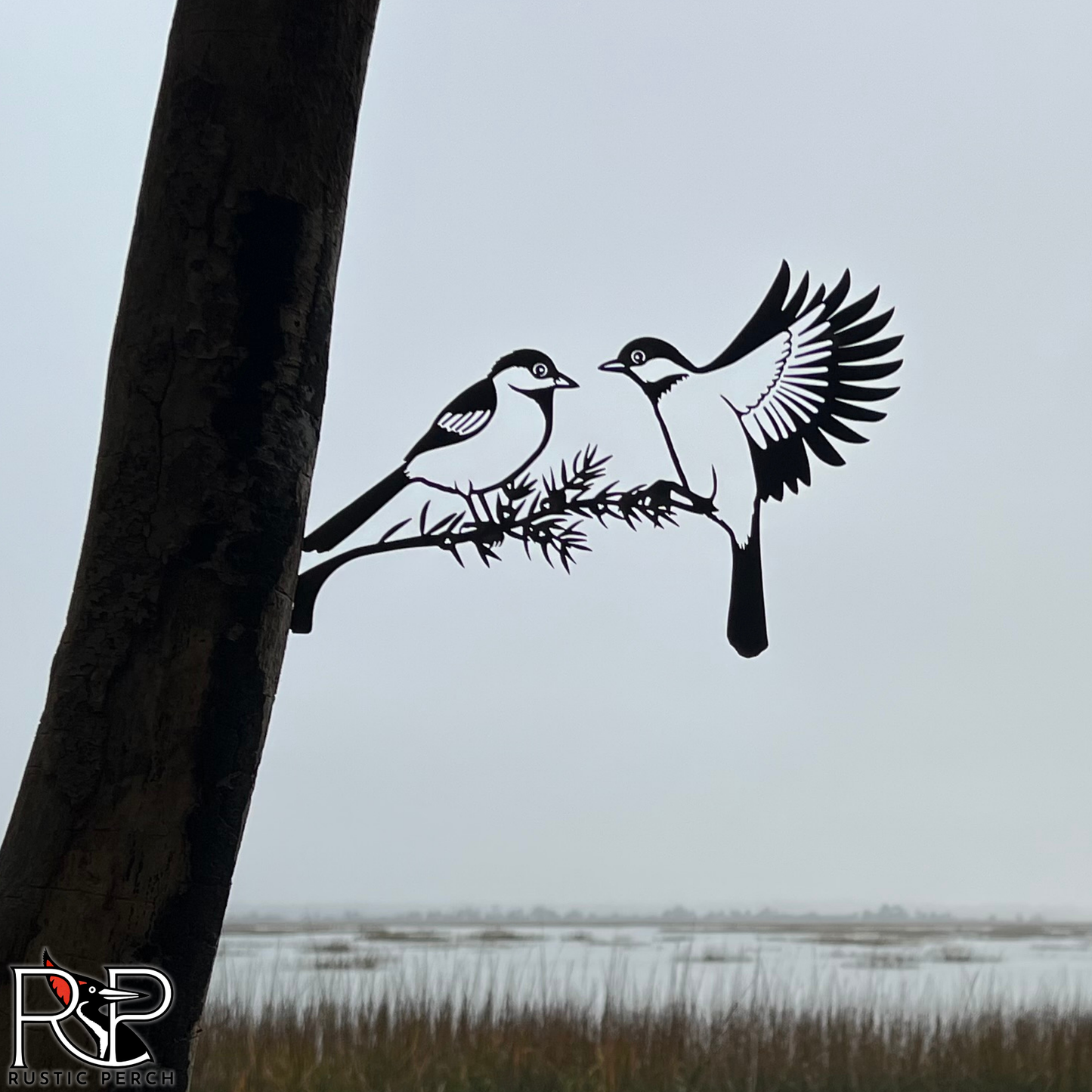 BLACK-CAPPED CHICKADEE PAIR