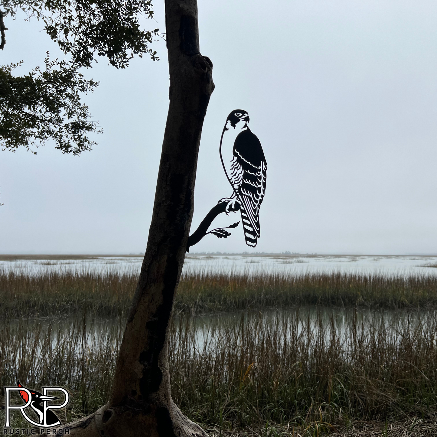 PEREGRINE FALCON SOLO