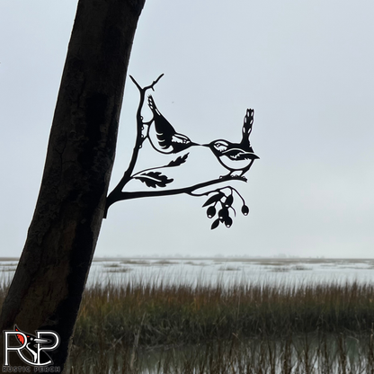 KISSING CAROLINA WRENS