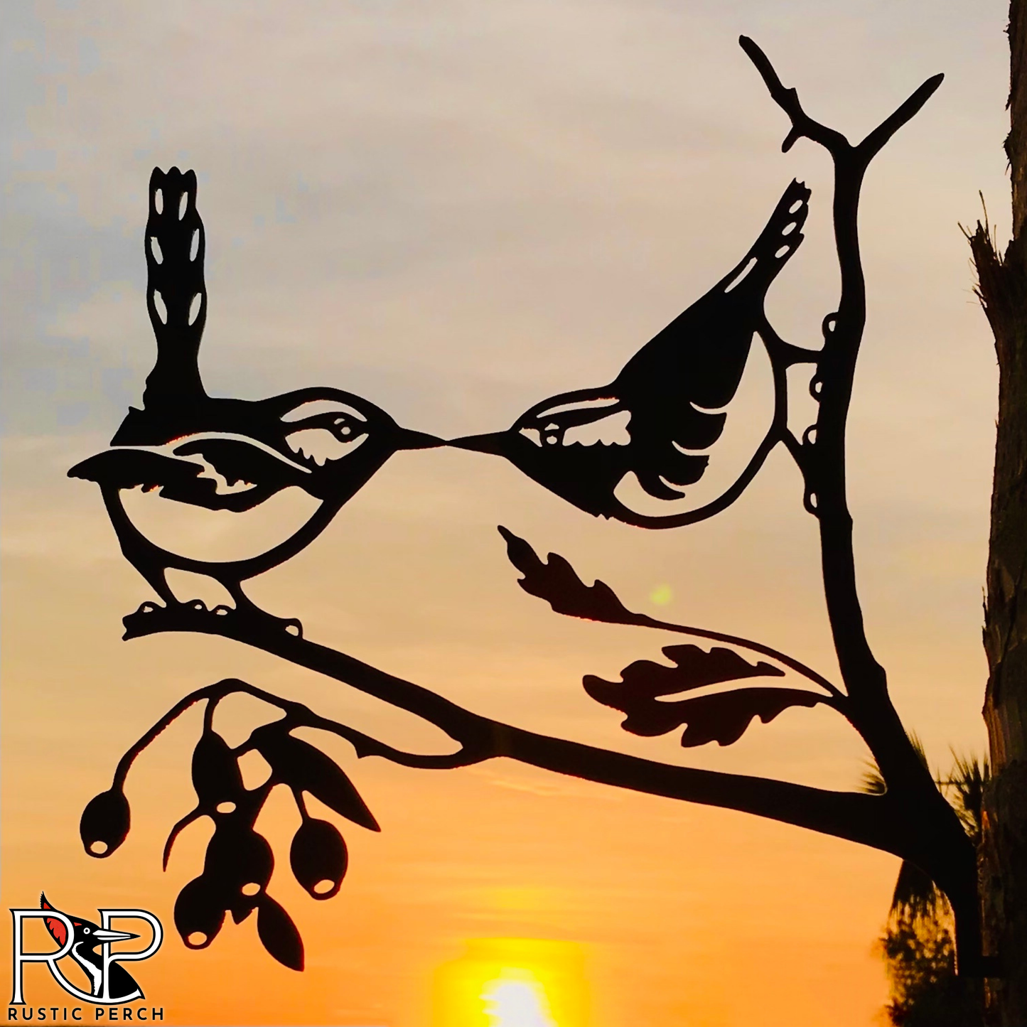 KISSING CAROLINA WRENS