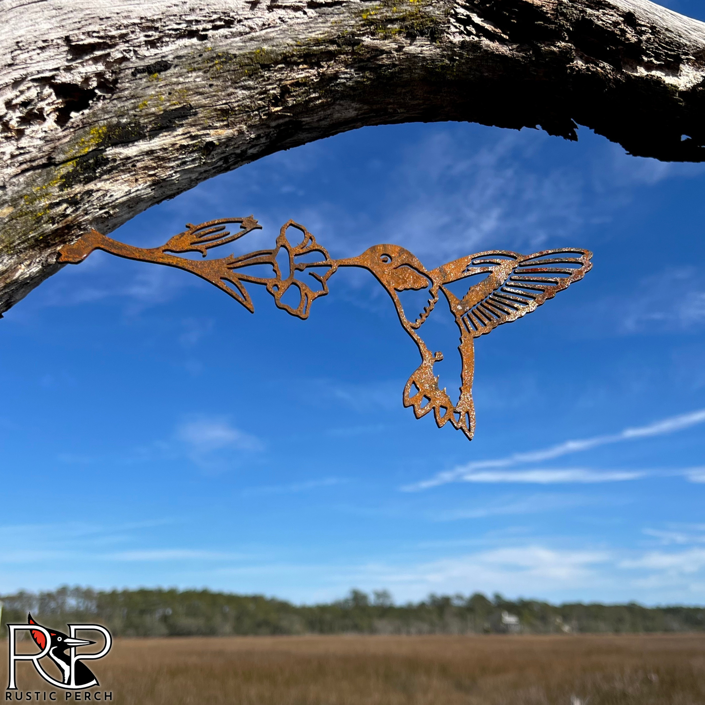 RUBY-THROATED HUMMINGBIRD