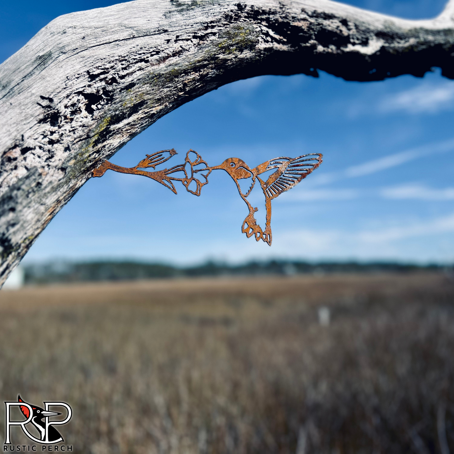 RUBY-THROATED HUMMINGBIRD