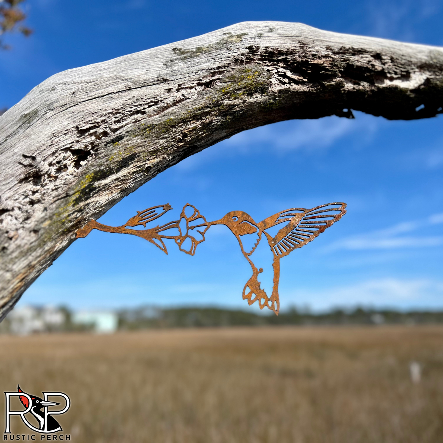 RUBY-THROATED HUMMINGBIRD