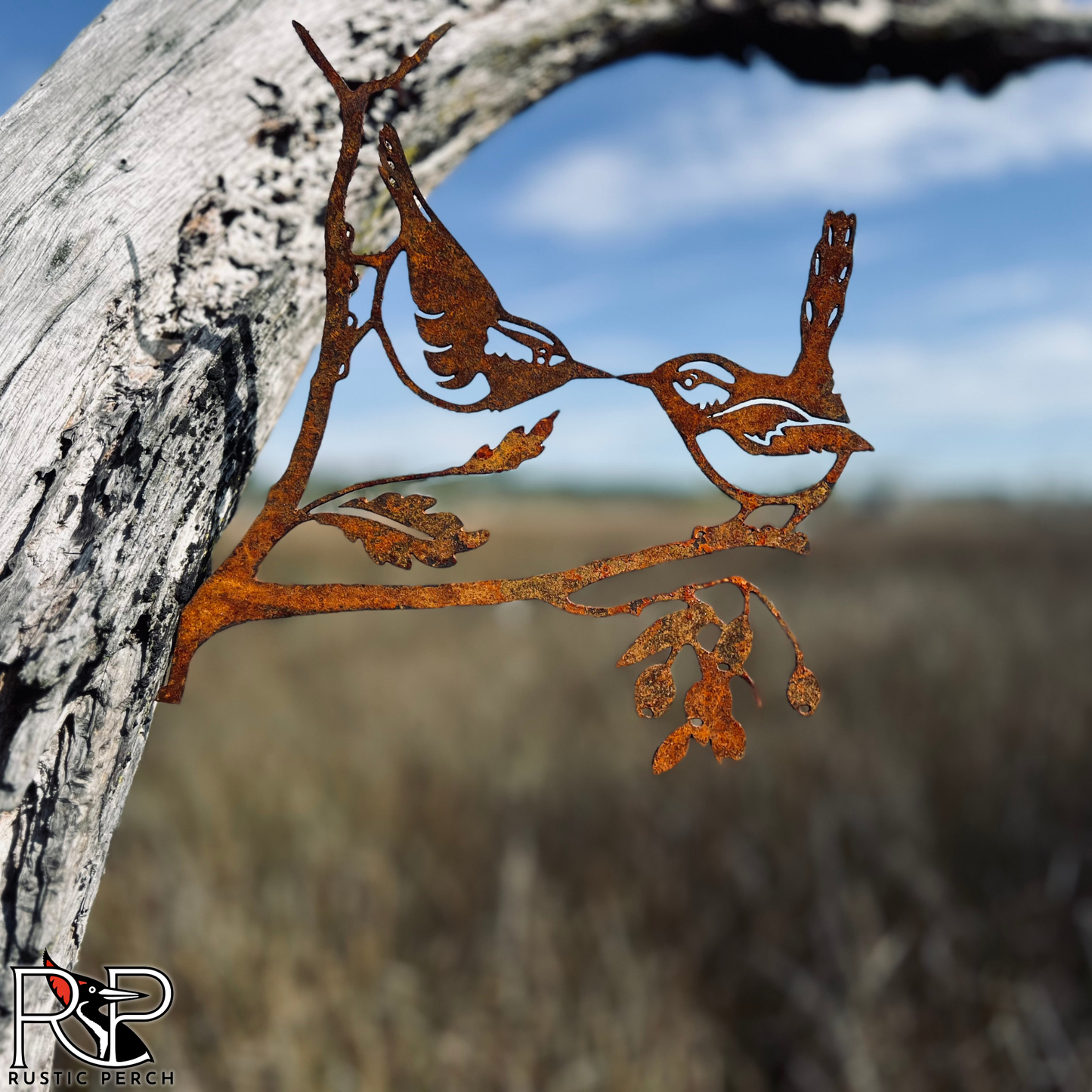 KISSING CAROLINA WRENS