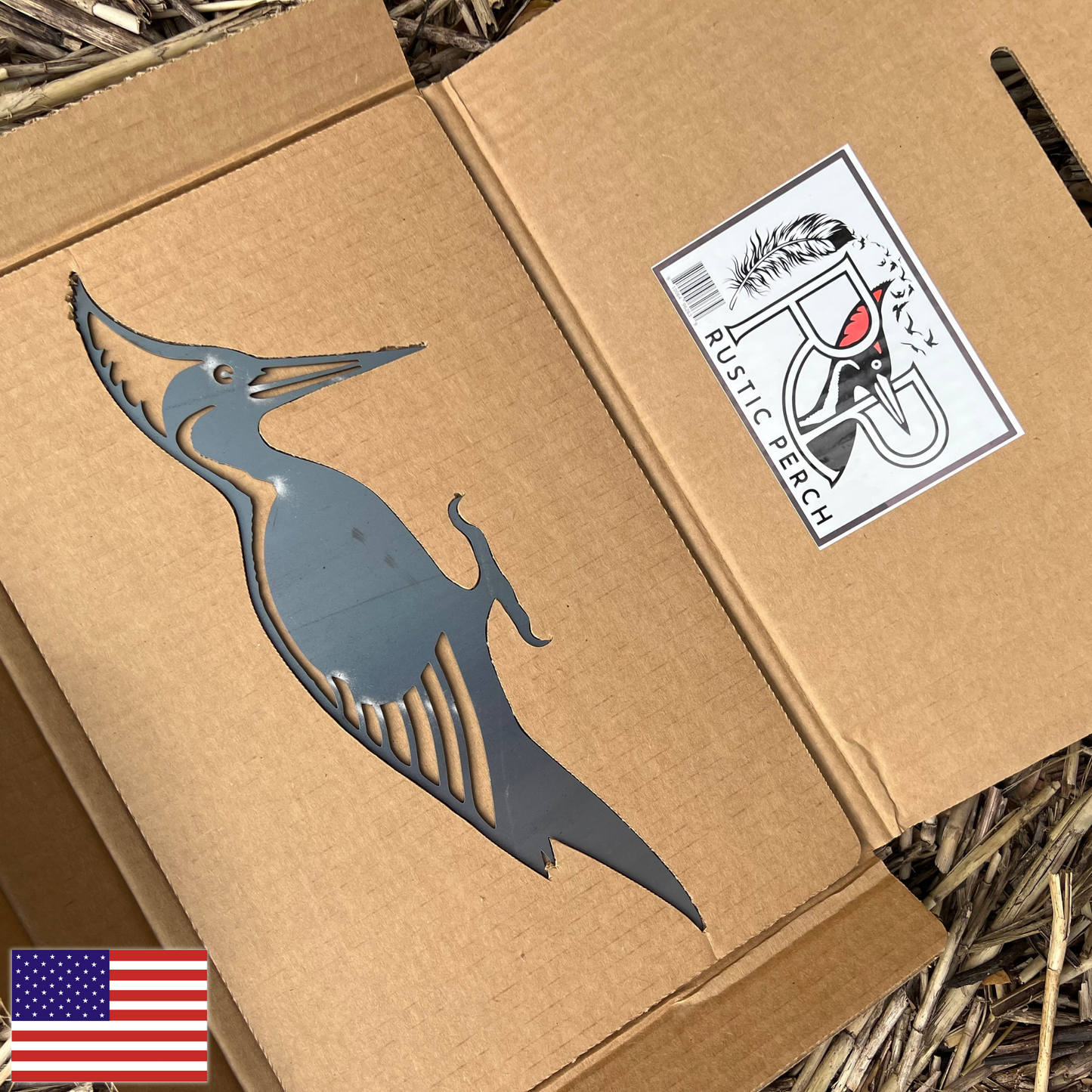 IVORY BILLED WOODPECKER