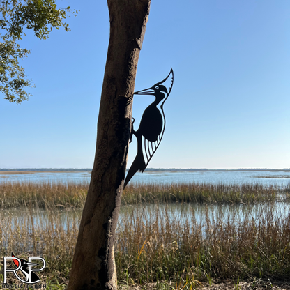 IVORY BILLED WOODPECKER