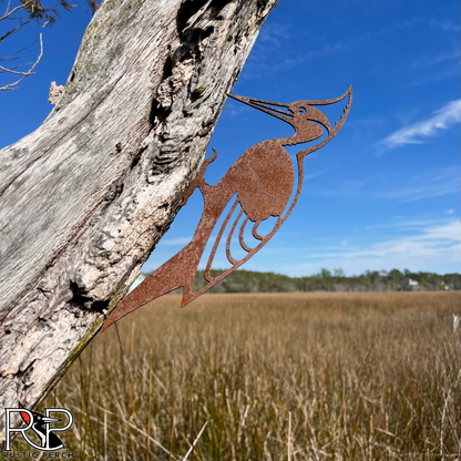 IVORY BILLED WOODPECKER