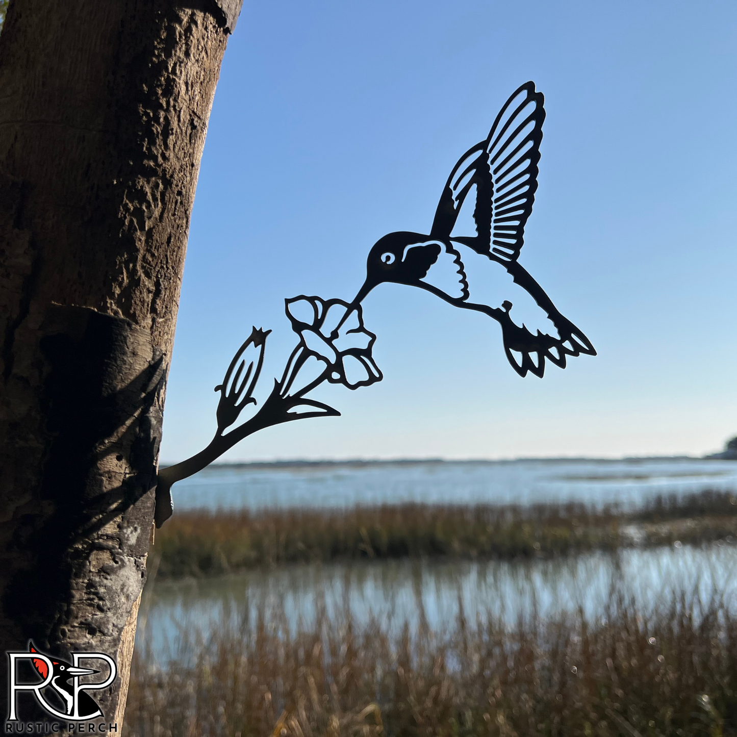 RUBY-THROATED HUMMINGBIRD