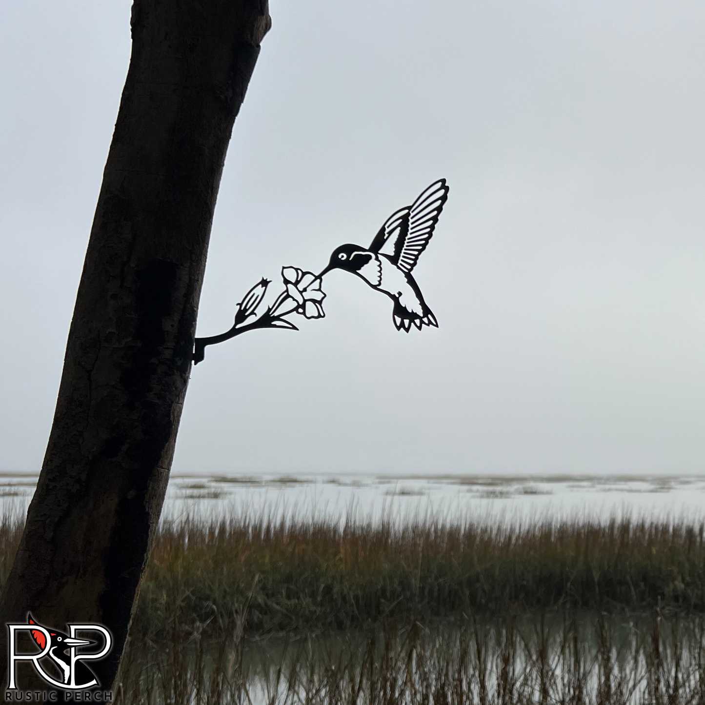 RUBY-THROATED HUMMINGBIRD