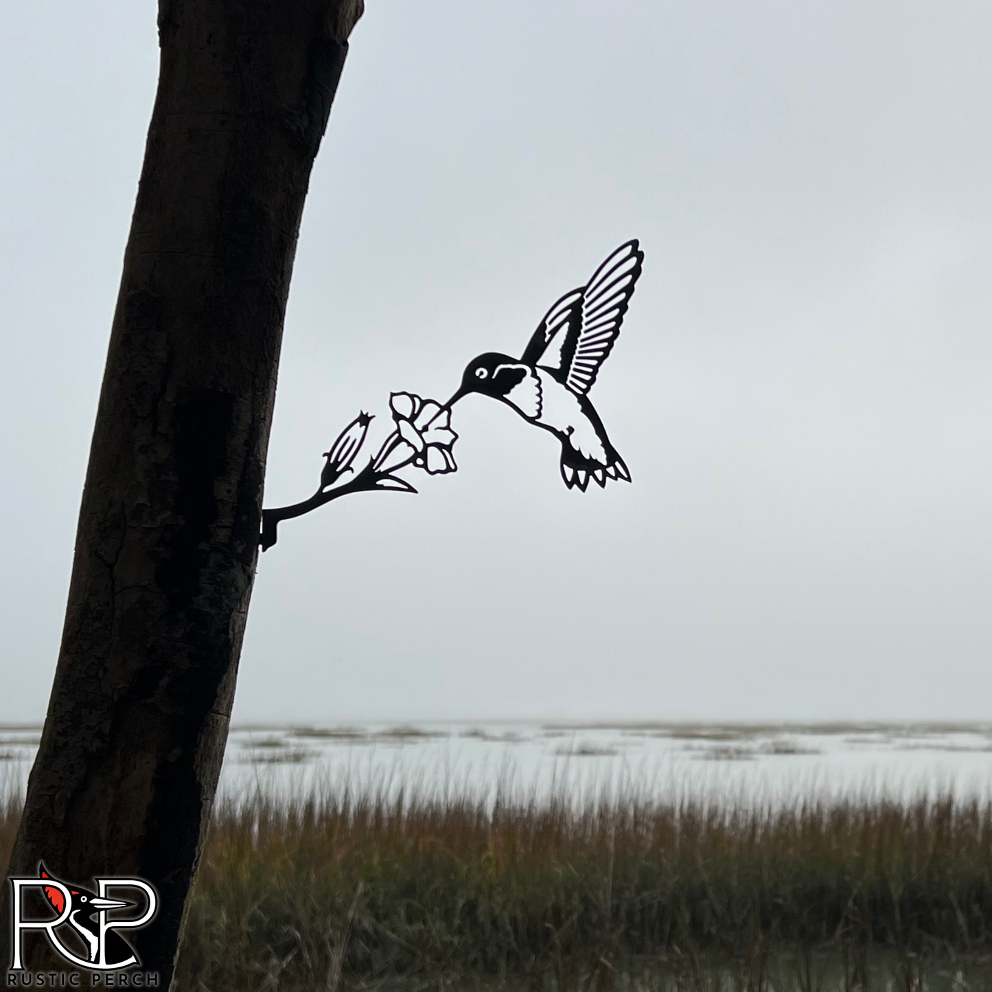 RUBY-THROATED HUMMINGBIRD
