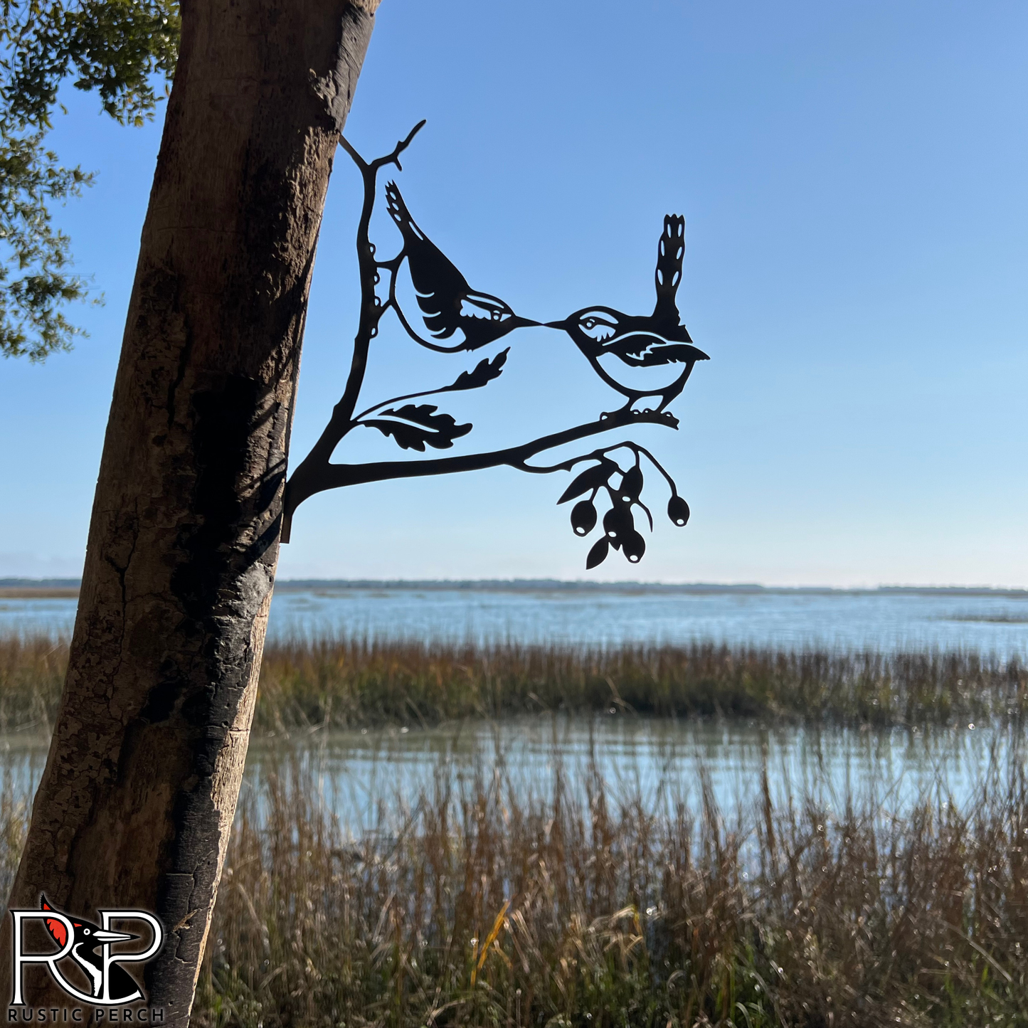 KISSING CAROLINA WRENS